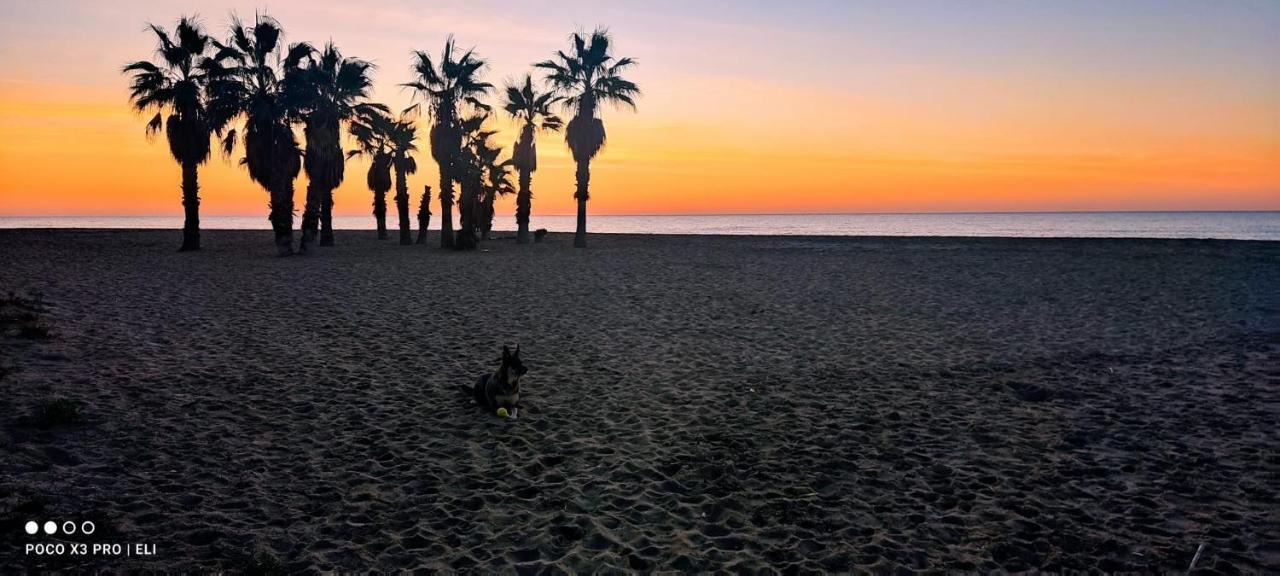 Encantador Apto En La Playa 콤마루가 외부 사진