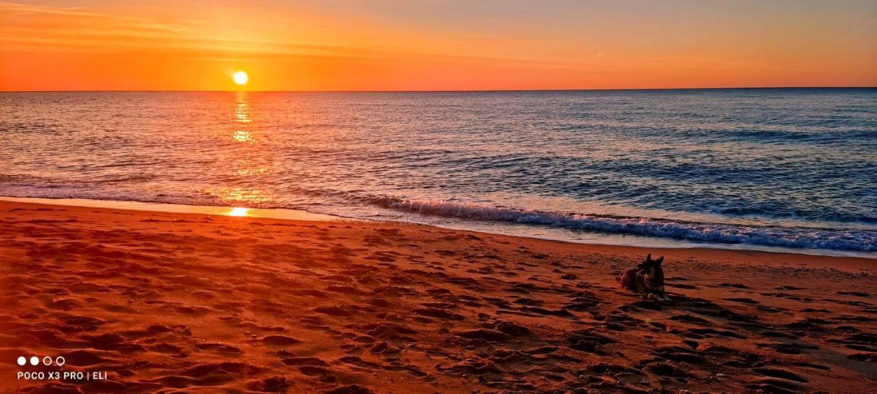 Encantador Apto En La Playa 콤마루가 외부 사진